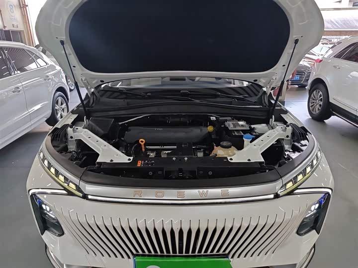 Roewe Whale 2022 2022款 2.0T 虎鲸版