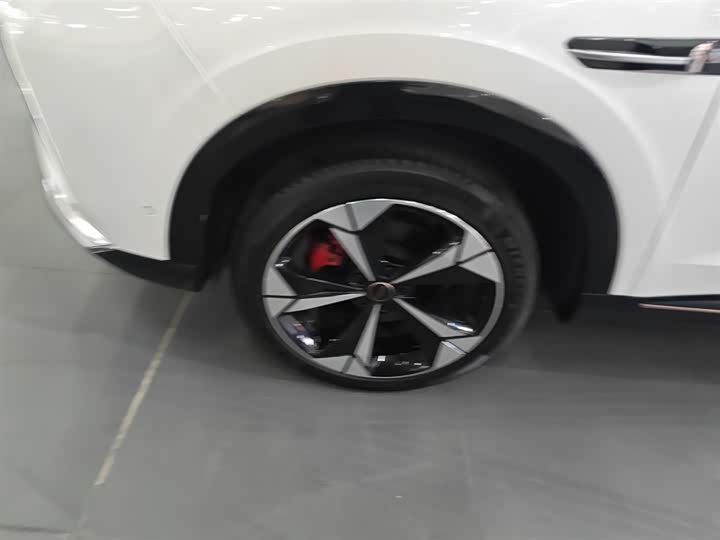 Roewe Whale 2022 2022款 2.0T 虎鲸版