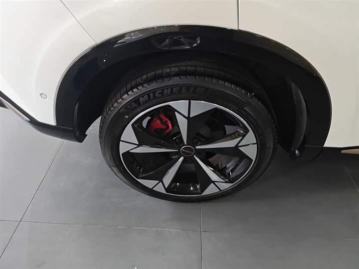 Roewe Whale 2022 2022款 2.0T 虎鲸版