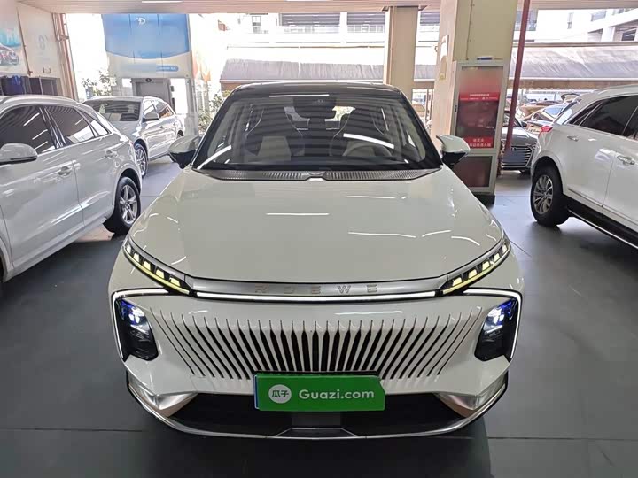 Roewe Whale 2022 2022款 2.0T 虎鲸版
