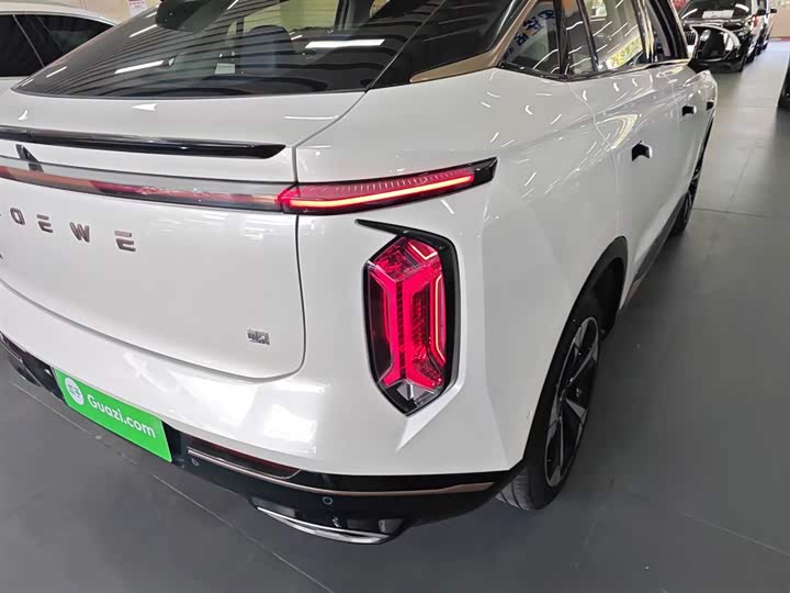 Roewe Whale 2022 2022款 2.0T 虎鲸版