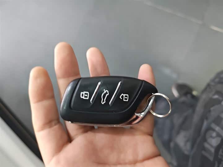 Roewe Whale 2022 2022款 2.0T 虎鲸版