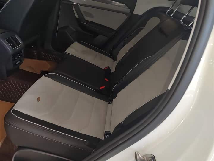 Volkswagen Tayron X 2023 2023款 330TSI 两驱尊贵高能版