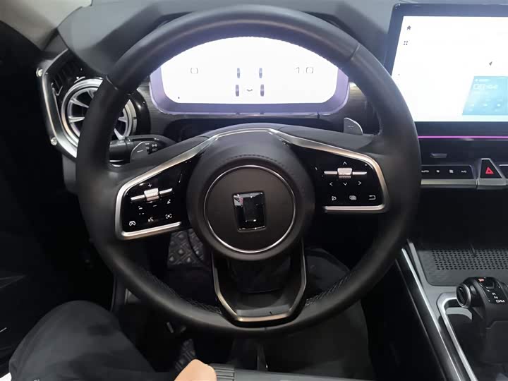 Tank 400 Hybrid 2024 2024款 Hi4-T 越野版