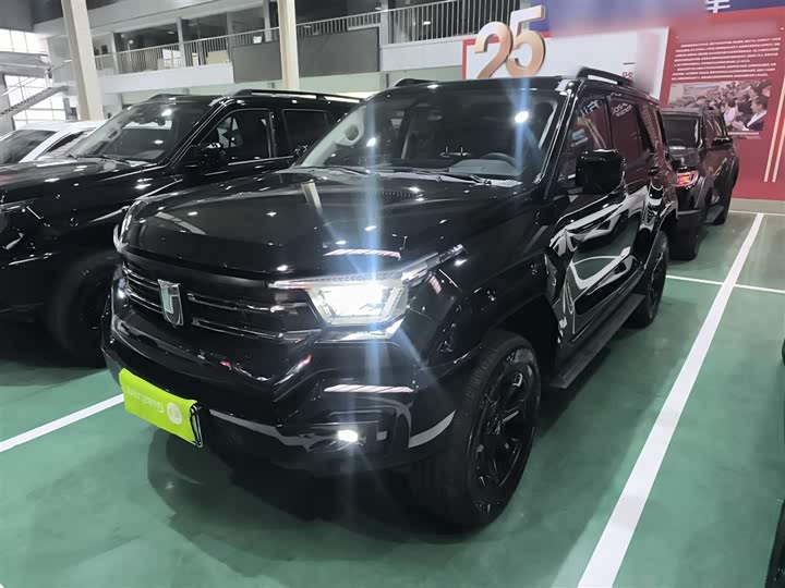 Tank 400 Hybrid 2024 2024款 Hi4-T 越野版