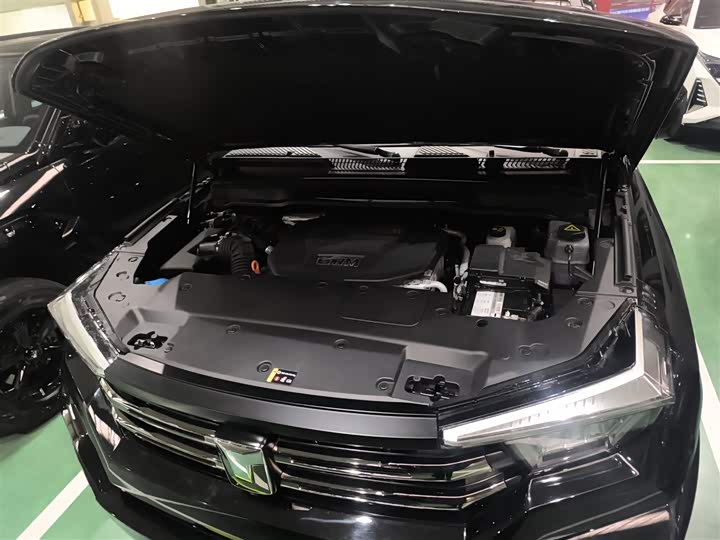 Tank 400 Hybrid 2024 2024款 Hi4-T 越野版