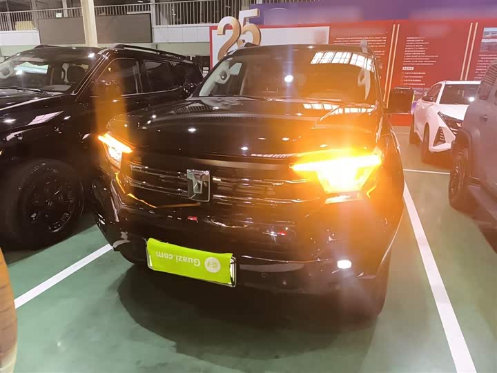 Tank 400 Hybrid 2024 2024款 Hi4-T 越野版