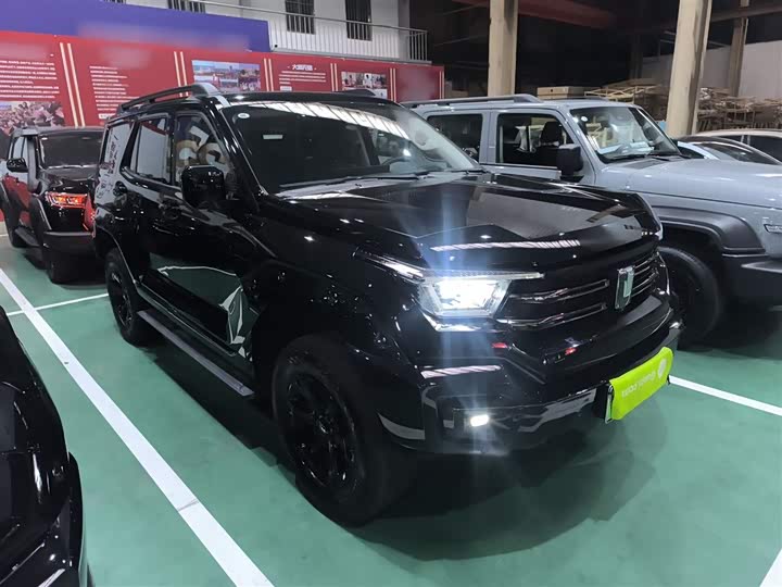 Tank 400 Hybrid 2024 2024款 Hi4-T 越野版