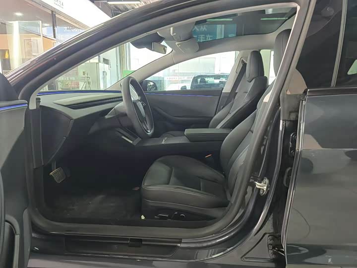 Tesla Model 3 2025 2025款 后轮驱动版