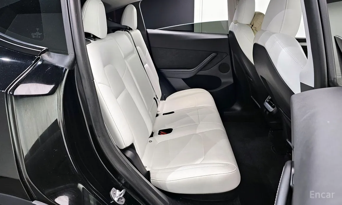 Tesla Model Y 2020 Performance