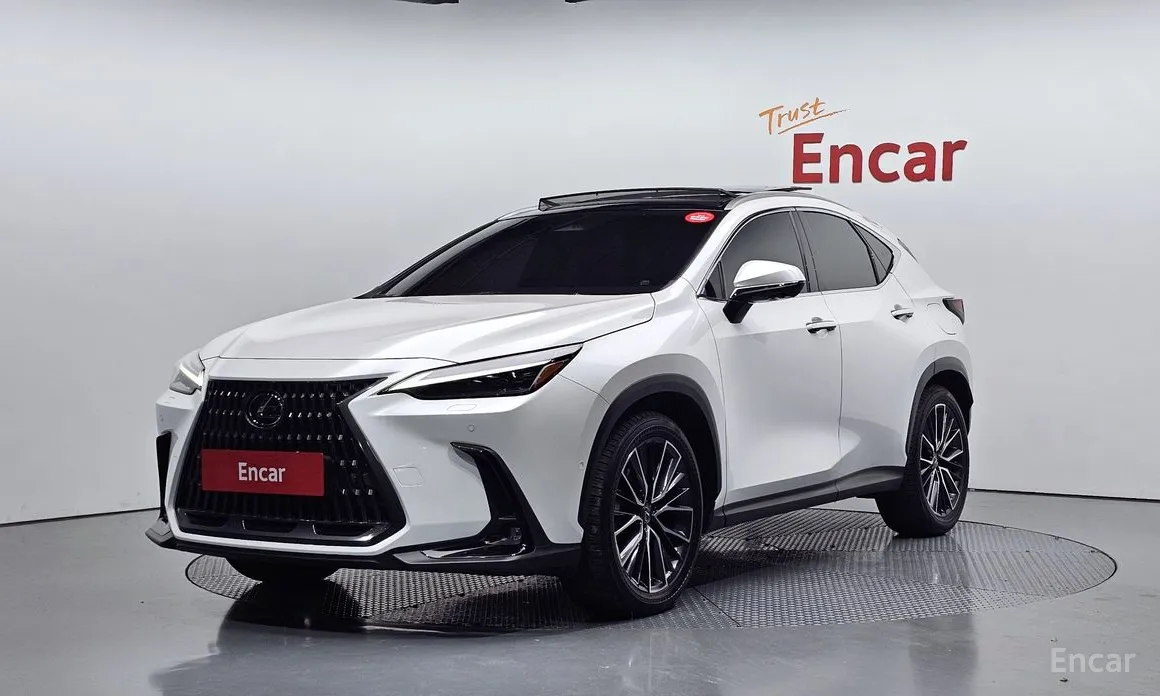 Lexus NX 2022 Luxury