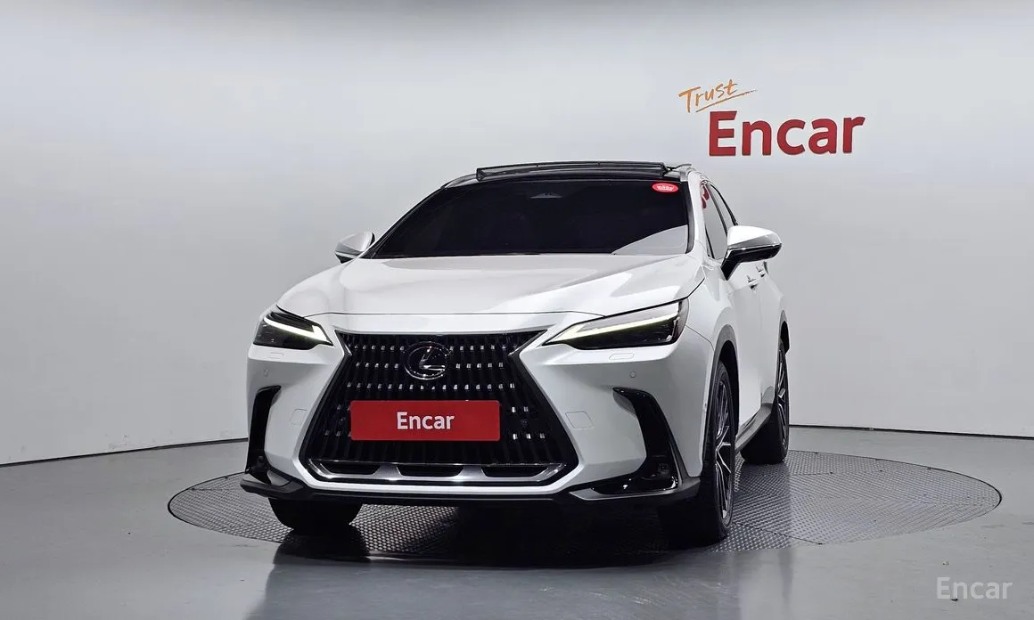 Lexus NX 2022 Luxury