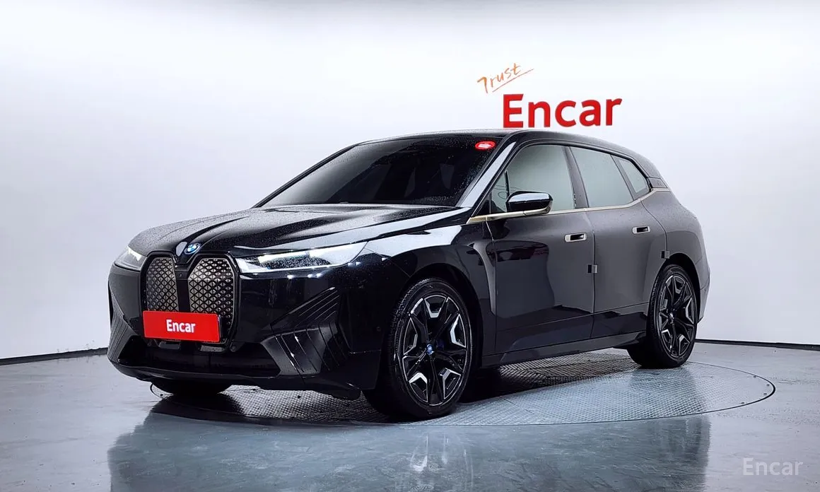 BMW iX 2021 xDrive40 First Edition