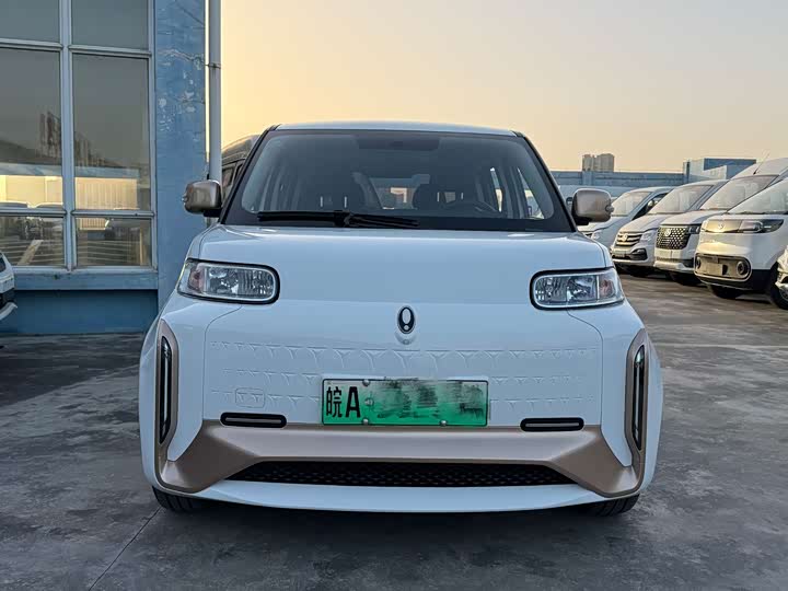 Ora White Cat 2022 2022款 小野猫版 360km 豪华型 三元锂