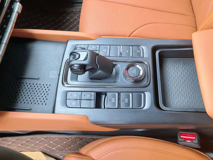 Haval H9 2024 2024款 2.0T 汽油四驱极境版