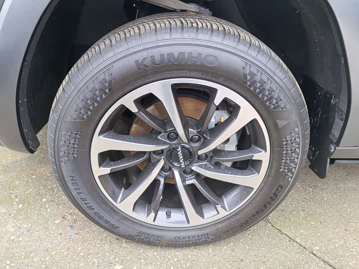 Haval H9 2024 2024款 2.0T 汽油四驱极境版