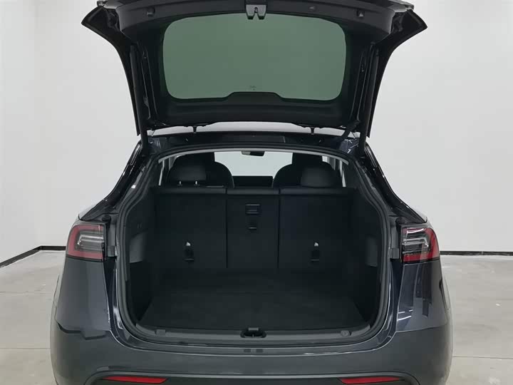 Tesla Model Y 2024 2024款 长续航全轮驱动版