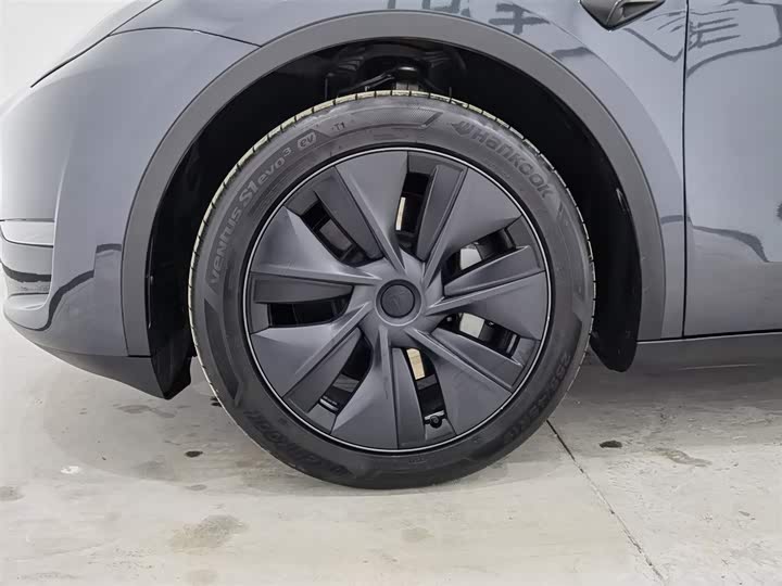 Tesla Model Y 2024 2024款 长续航全轮驱动版