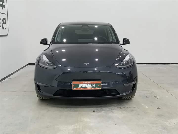 Tesla Model Y 2024 2024款 长续航全轮驱动版