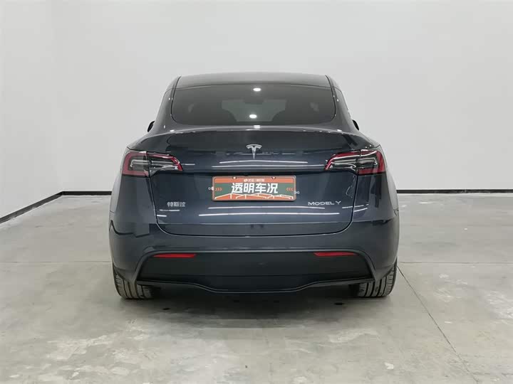 Tesla Model Y 2024 2024款 长续航全轮驱动版