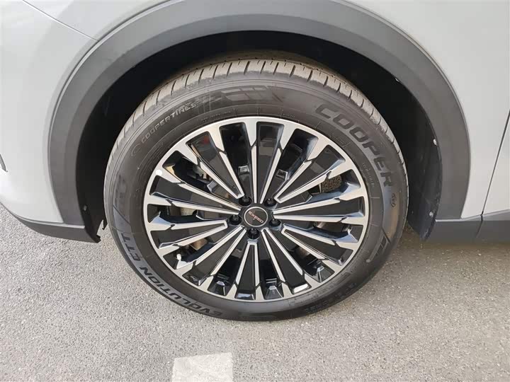 Exeed RX C-DM Hybrid 2024 2024款 1.5T 长续航Pro