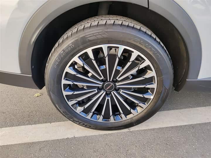 Exeed RX C-DM Hybrid 2024 2024款 1.5T 长续航Pro