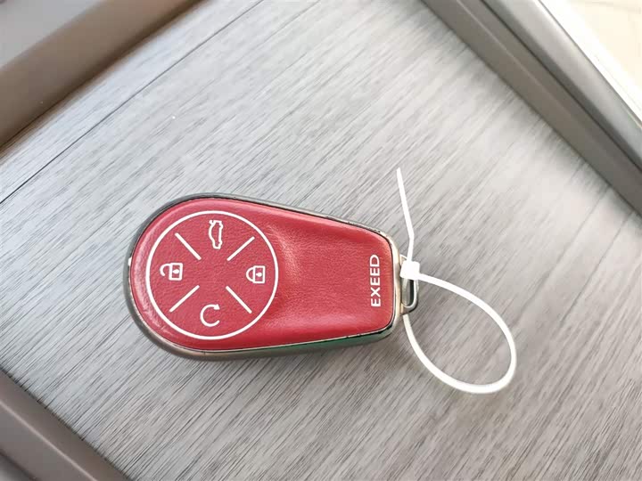 Exeed RX C-DM Hybrid 2024 2024款 1.5T 长续航Pro