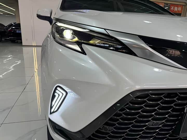 Toyota Granvia 2024 2024款 2.5L混动 豪华版