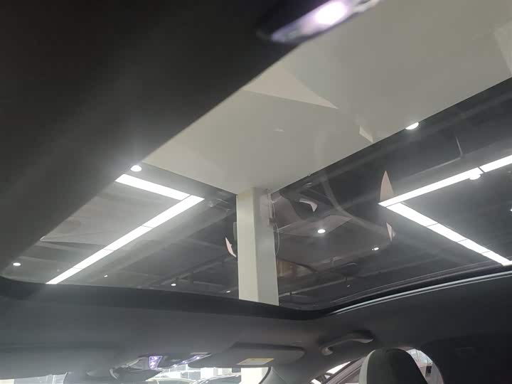 BAIC Arcfox Alpha S 2023 2023款 525E 森林版 160kW