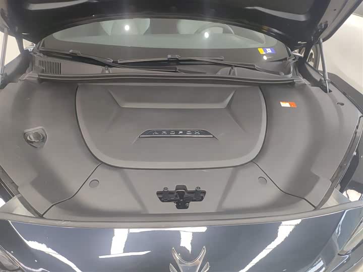 BAIC Arcfox Alpha S 2023 2023款 525E 森林版 160kW