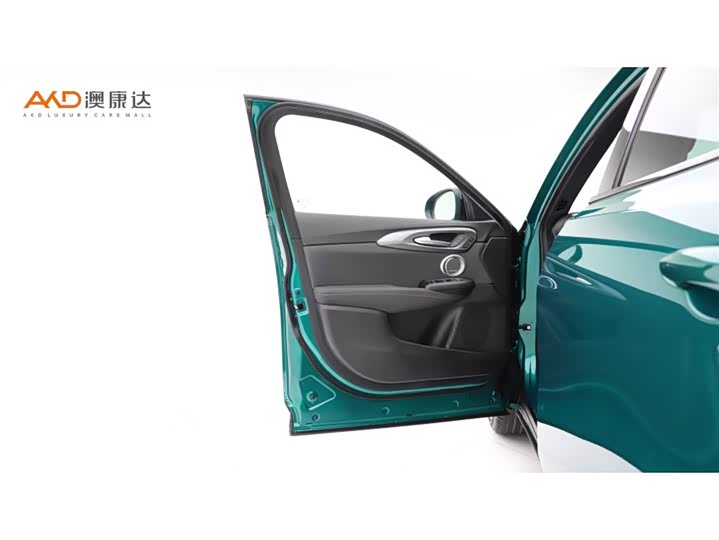 Alfa Romeo Tonale 2023 2023款 2.0T 268HP AWD Veloce赛道版