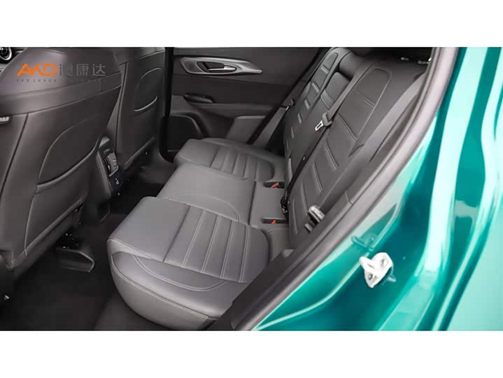 Alfa Romeo Tonale 2023 2023款 2.0T 268HP AWD Veloce赛道版