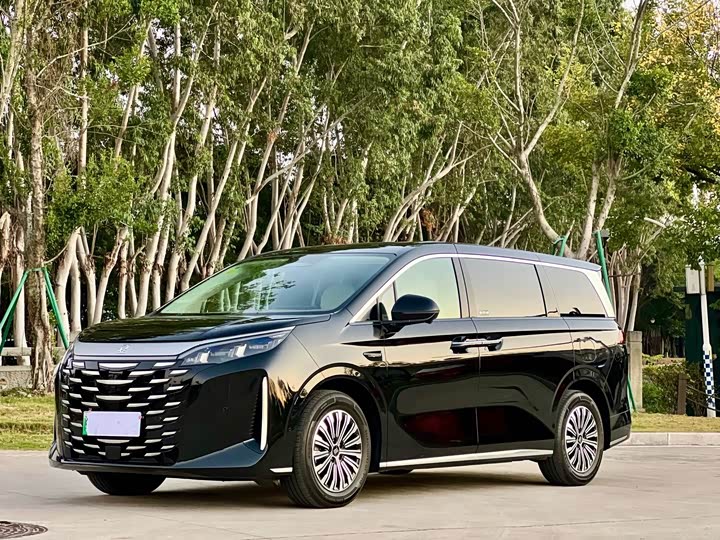 BYD Xia 2025 2025款 DM-i 1.5T 100km 领先型