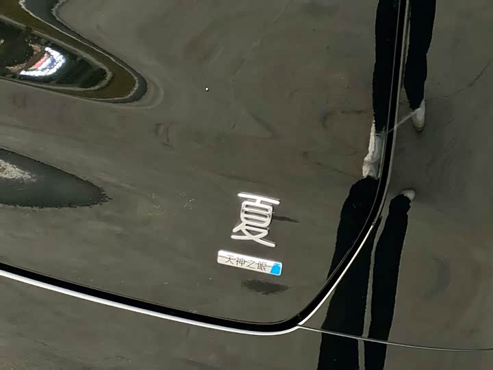 BYD Xia 2025 2025款 DM-i 1.5T 100km 领先型