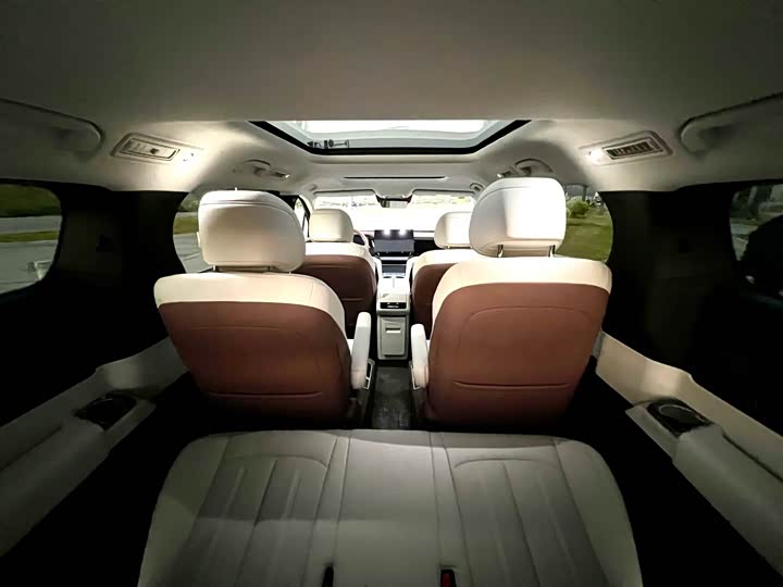 BYD Xia 2025 2025款 DM-i 1.5T 100km 领先型