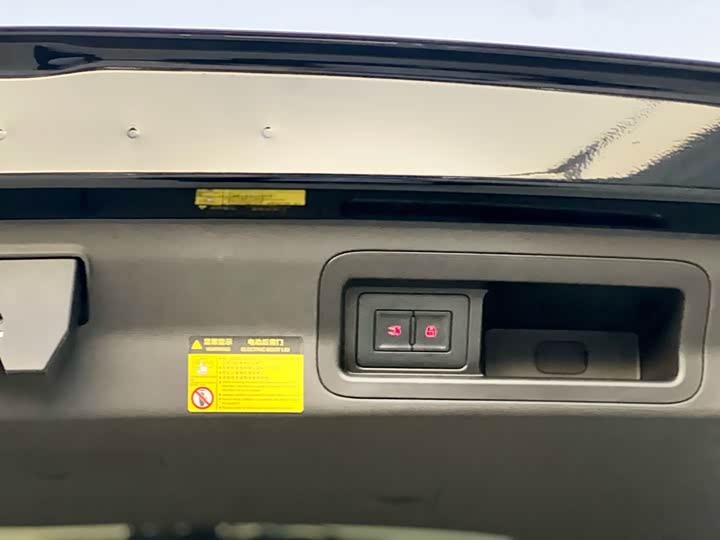 BYD Xia 2025 2025款 DM-i 1.5T 100km 领先型