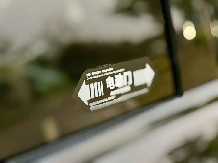 BYD Xia 2025 2025款 DM-i 1.5T 100km 领先型