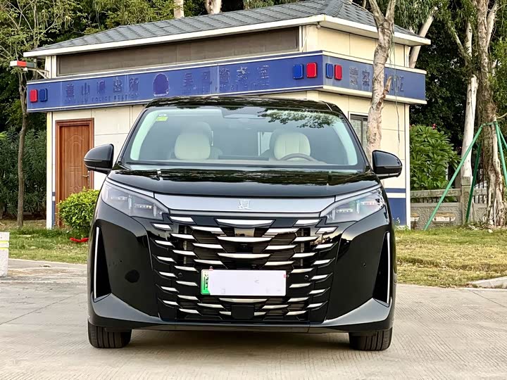 BYD Xia 2025 2025款 DM-i 1.5T 100km 领先型