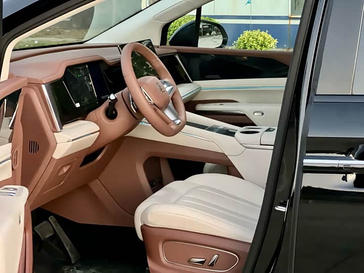 BYD Xia 2025 2025款 DM-i 1.5T 100km 领先型