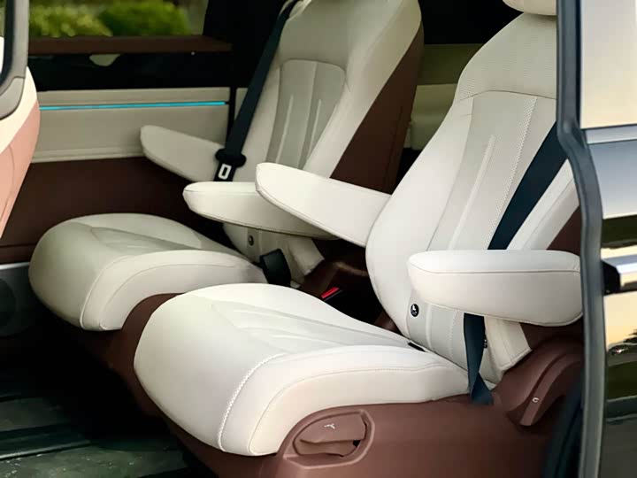 BYD Xia 2025 2025款 DM-i 1.5T 100km 领先型