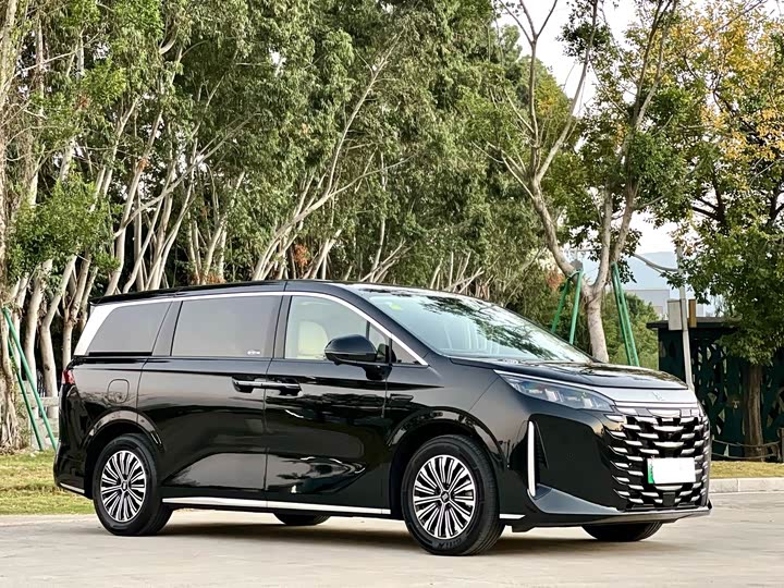 BYD Xia 2025 2025款 DM-i 1.5T 100km 领先型