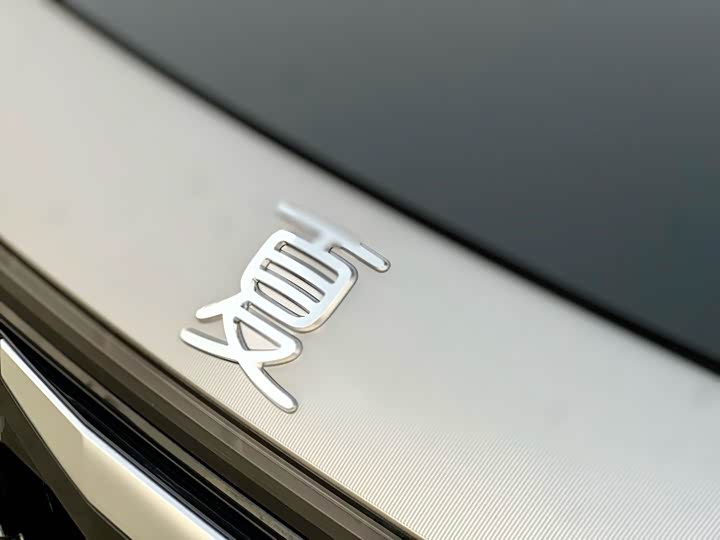 BYD Xia 2025 2025款 DM-i 1.5T 100km 领先型