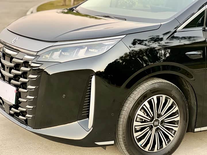 BYD Xia 2025 2025款 DM-i 1.5T 100km 领先型