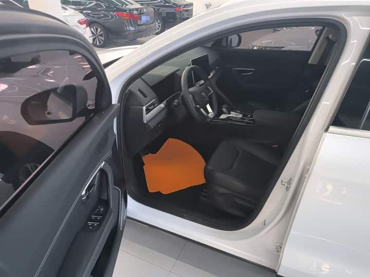 BYD Song Pro 2019 2019款 1.5T 自动精英型