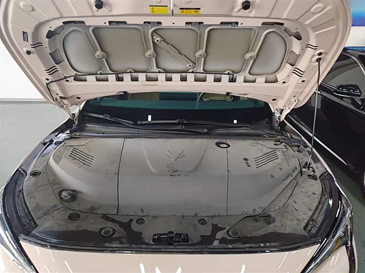 BAIC Arcfox Alpha S5 2024 2024款 560PRO 185kW