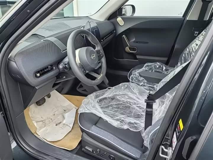 Mini Aceman 2024 2024款 SE 艺术家