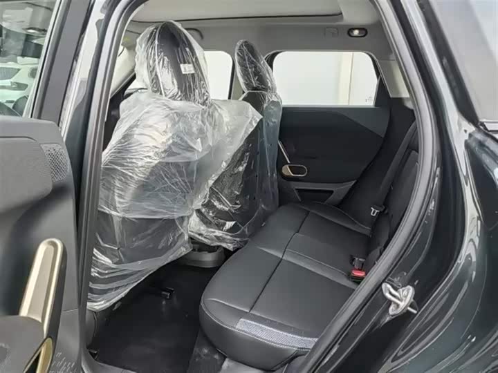 Mini Aceman 2024 2024款 SE 艺术家