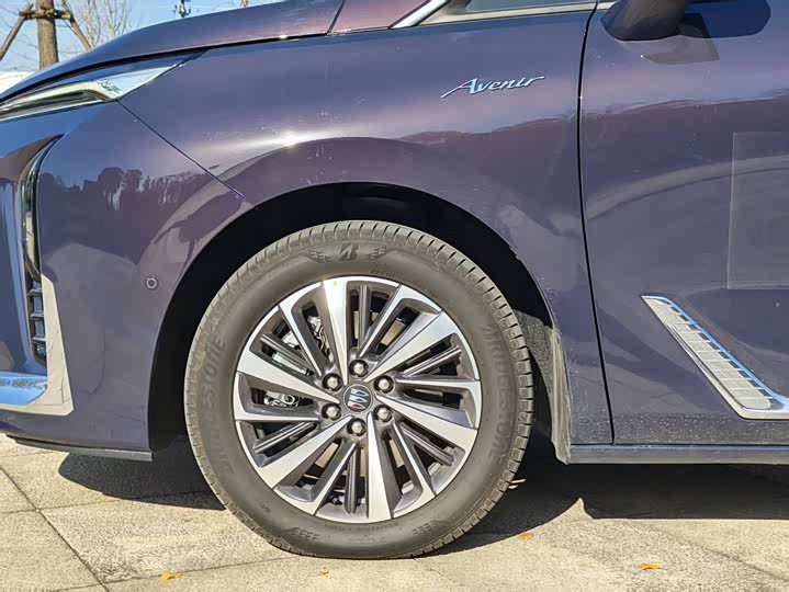 Buick GL8 Hybrid 2026 2026款 陆尊 奢享版