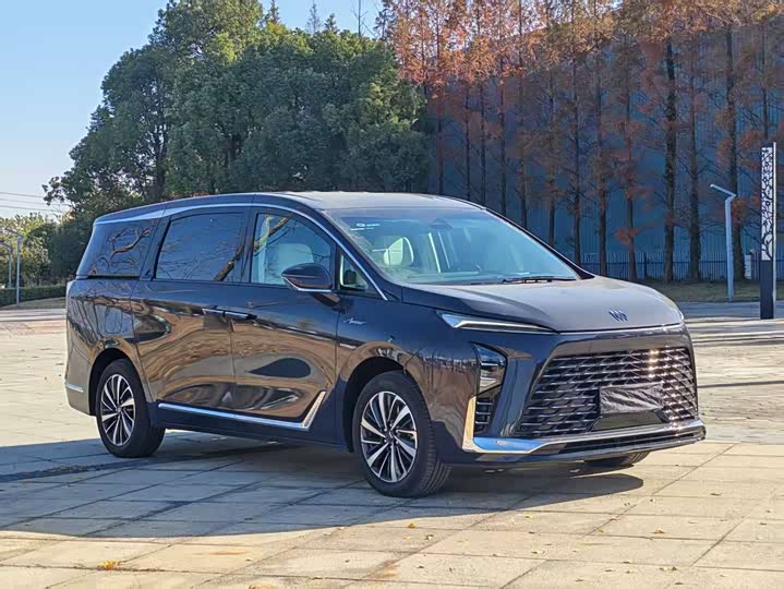 2026 Buick GL8 Hybrid