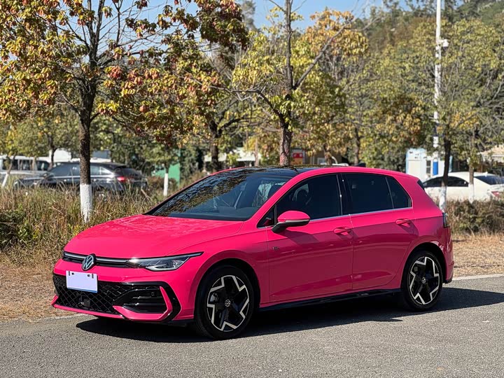 Volkswagen Golf 2025 2025款 改款 300TSI R-Line